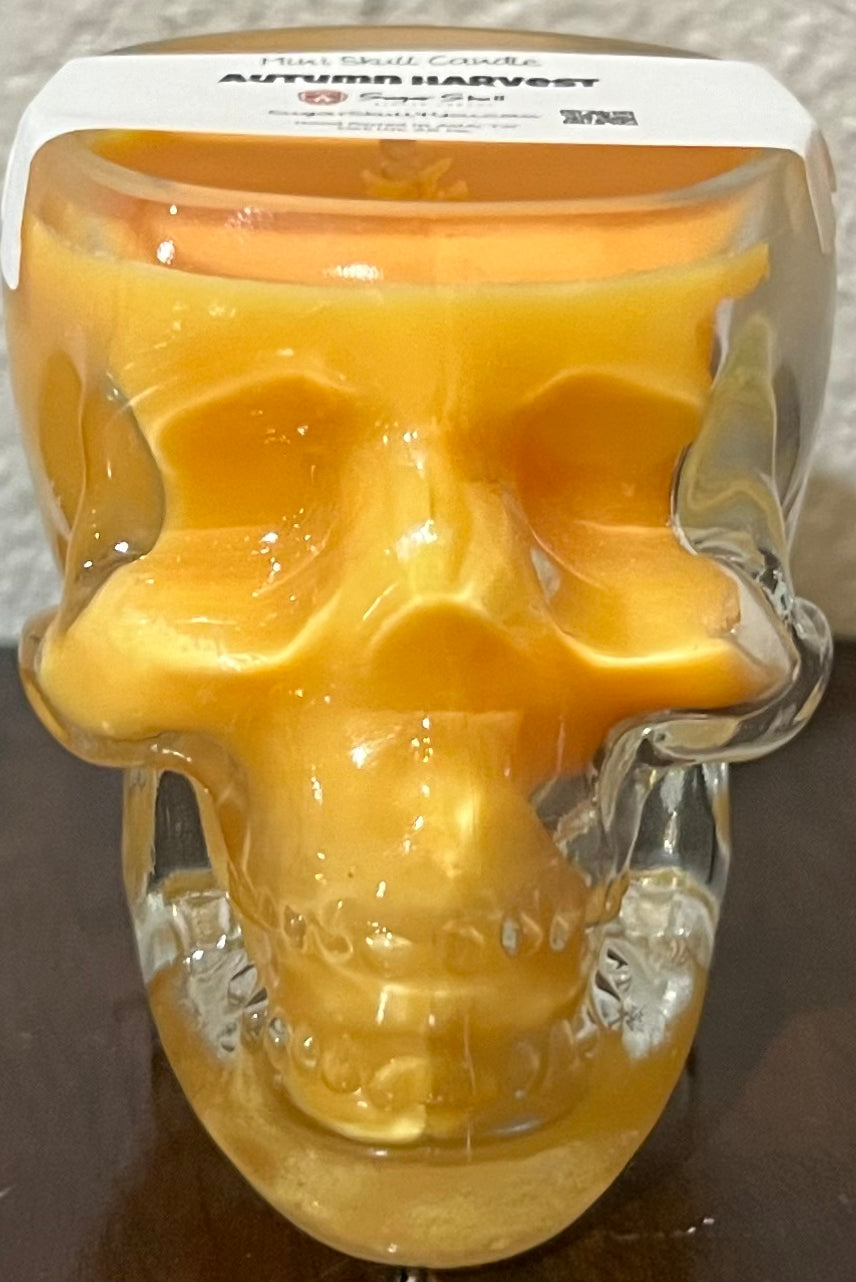 Mini Skull Candles - Autumn 2024